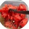 seamossandtings