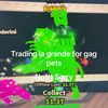 www.gagtrader.com