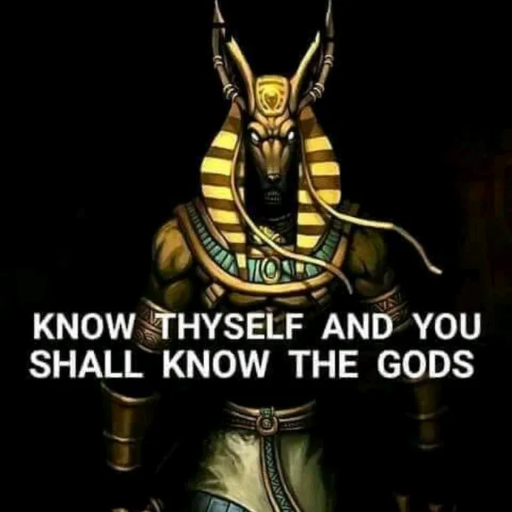 @truthseeker194