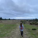 @bananer.slug