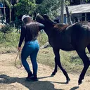 @iara_williane_