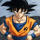 @animegokusolo