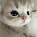 @unconstructed_