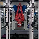 @avlasor_