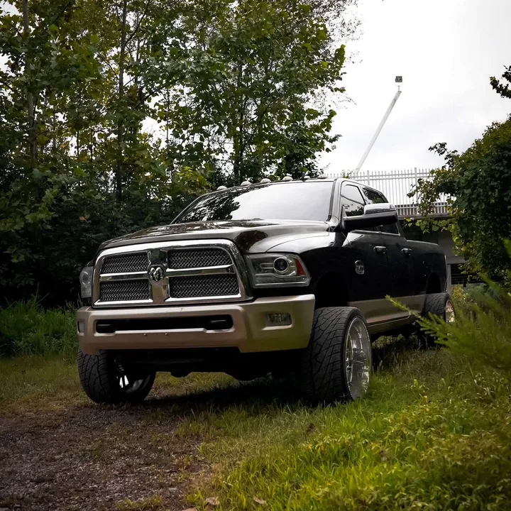 dat1white6.6