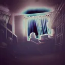 @ferrettheory