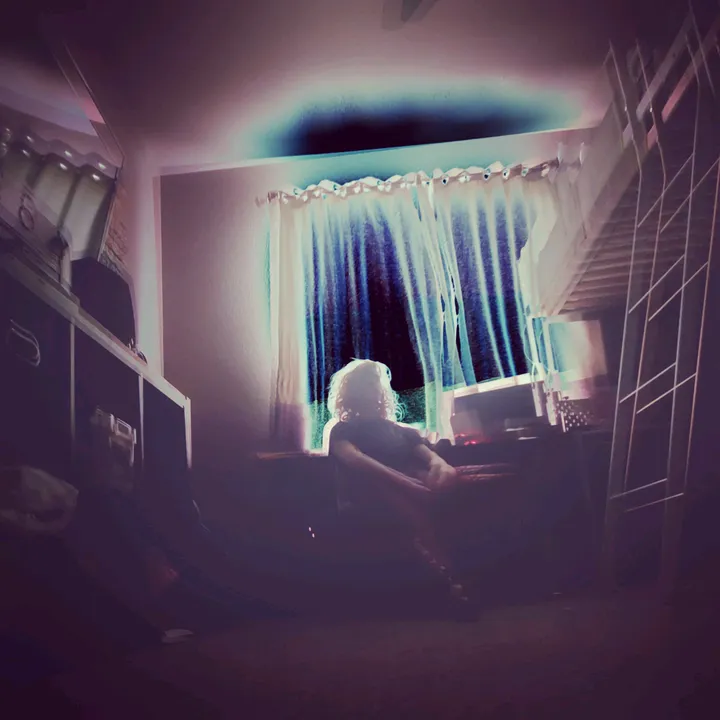 @ferrettheory