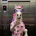 @vegeai