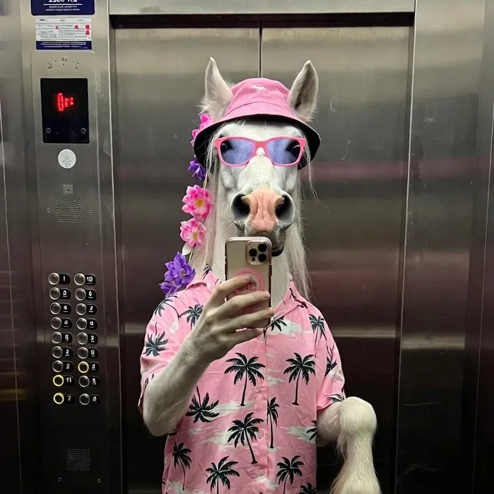 @vegeai