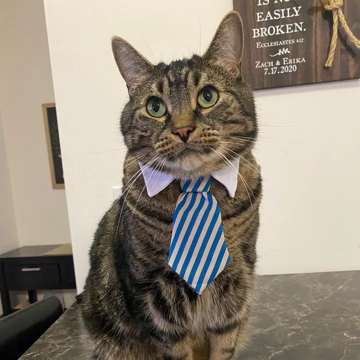 @mrmilothechonk