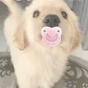 @puppiestt_