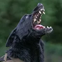 @offbrandgsd