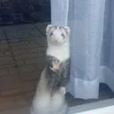 @mia.miloseviciglic