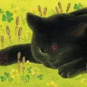 @ilovetabbycats28