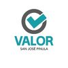 fanspartidovalorsjp