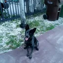 @laughing_that