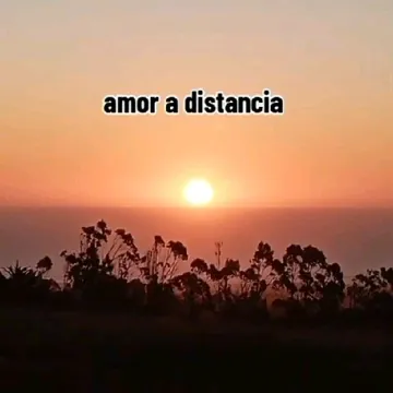 user24475554184304