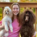 @social_work_therapy_dog