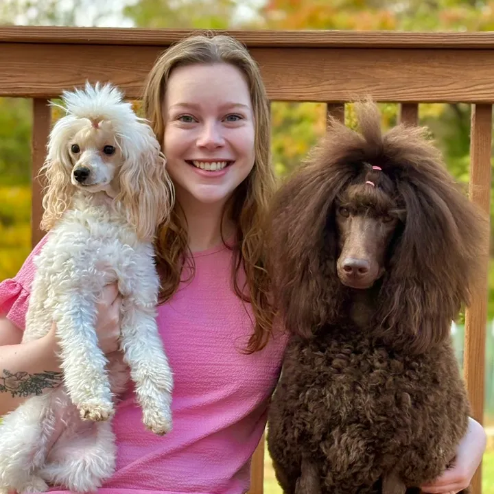 social_work_therapy_dog