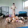 mylharescues