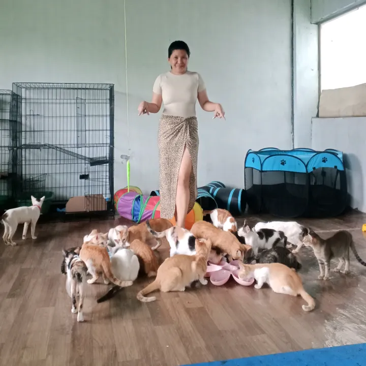 mylharescues