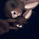 @tilly.thomas89