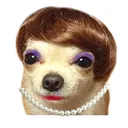 @plat0niks