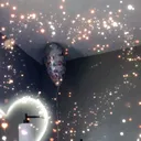 @elan.revid8