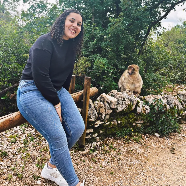 catitamalveiro