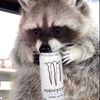 .audzilla