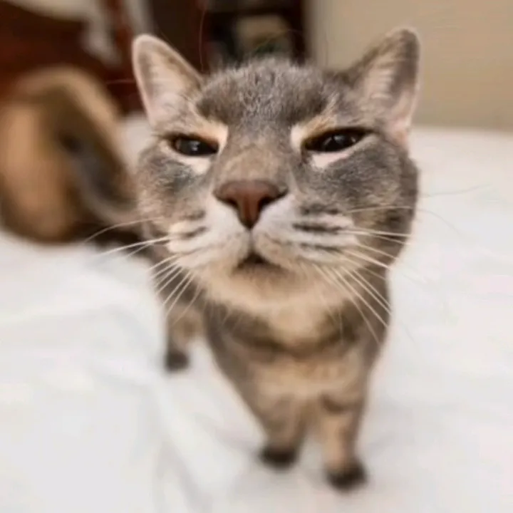 ptowr