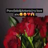 povv_cu_vedete