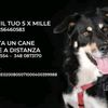 codefelici_rifugio