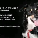 @codefelici_rifugio
