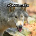 @lupinthewolf26