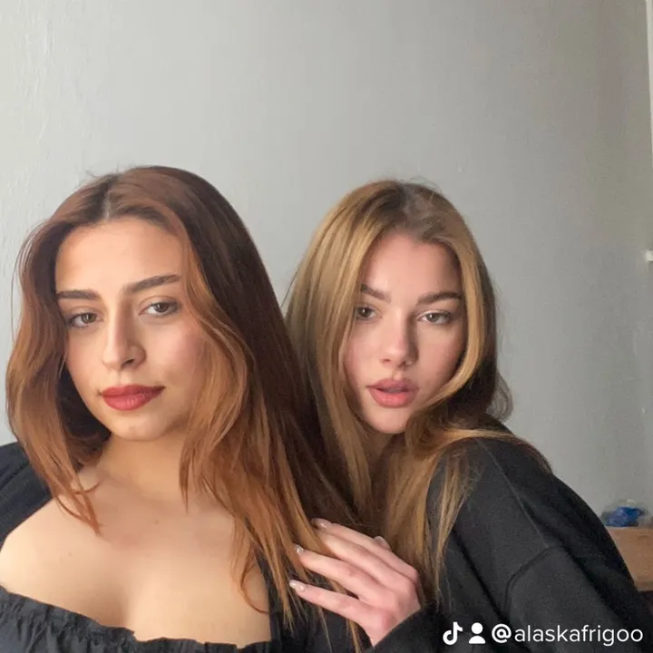 alaskafrigoo