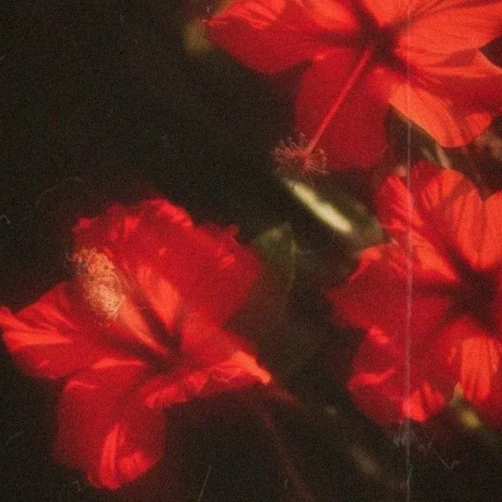 @omq.itsani