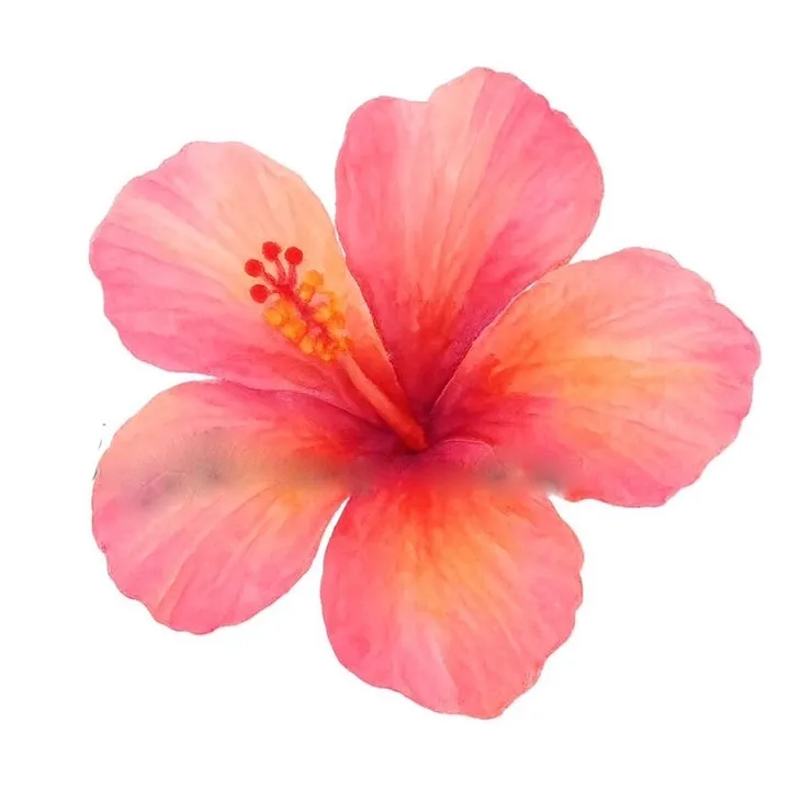 dafpatel