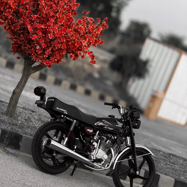 @ateeq__zx03