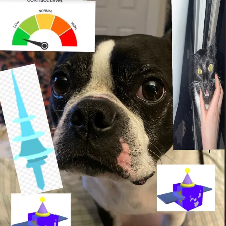 dogiscool42