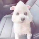@devynssecretttttt