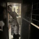 @laurengreen769