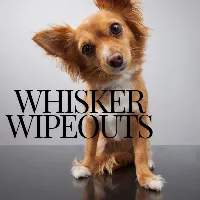 whiskerwipeouts
