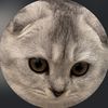 spoonisnotacat
