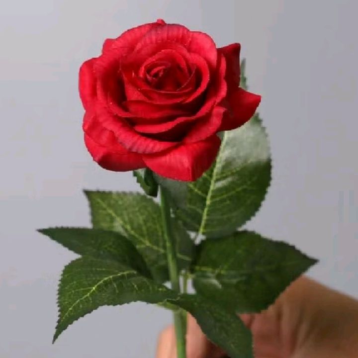 @Nanonano🌹 - original sound