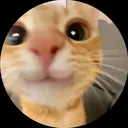@horizonfan