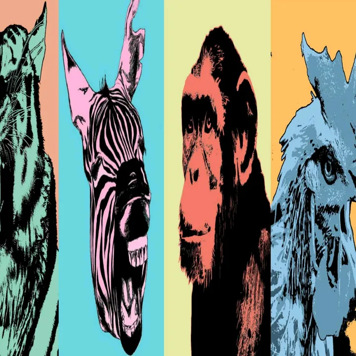 zoo_box