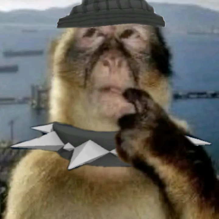 bauhaux