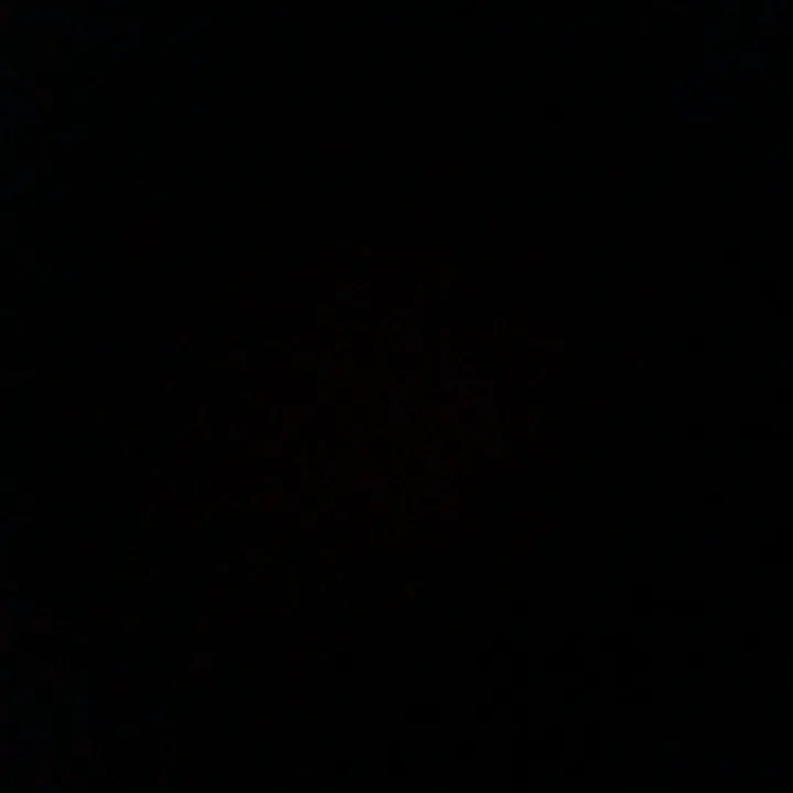 adri_4414