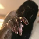 @vsfilmworks